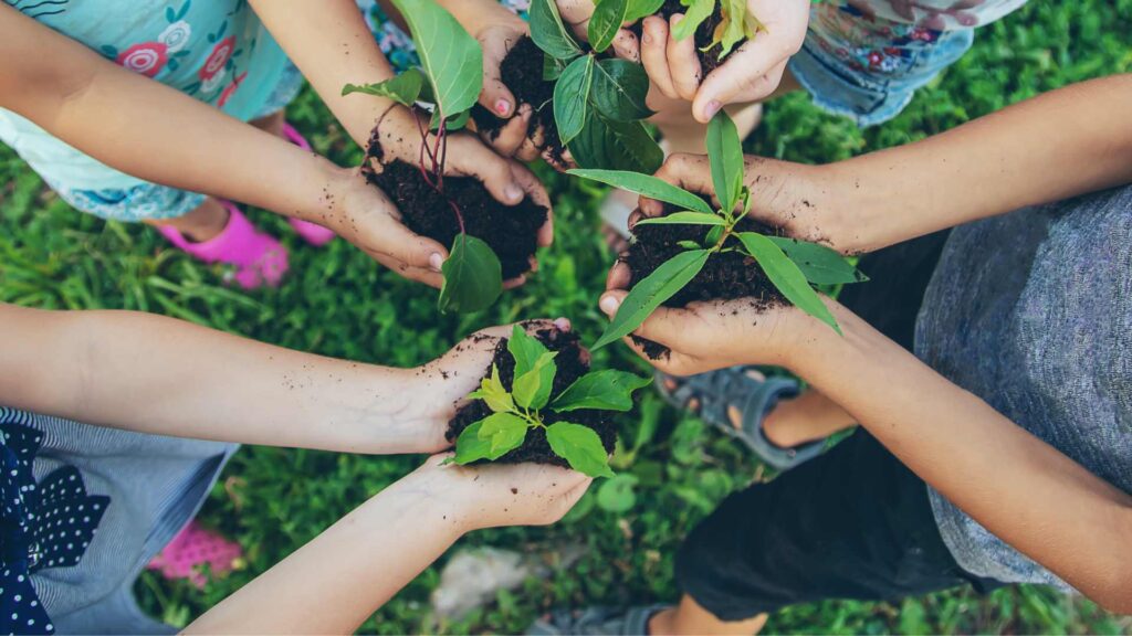 Kinderhände halten junge Pflanzen mit Erde – gemeinsames Hochbeet-Projekt für nachhaltiges Gärtnern.