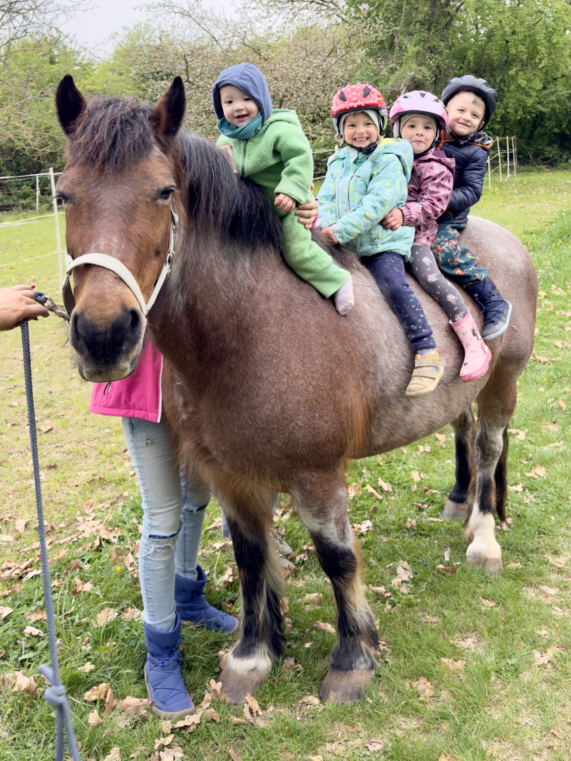 Ponyreiten