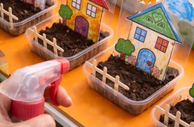 Pflanzevent mit Mitnehm-Mini-Garten & Hochbeet-Mission