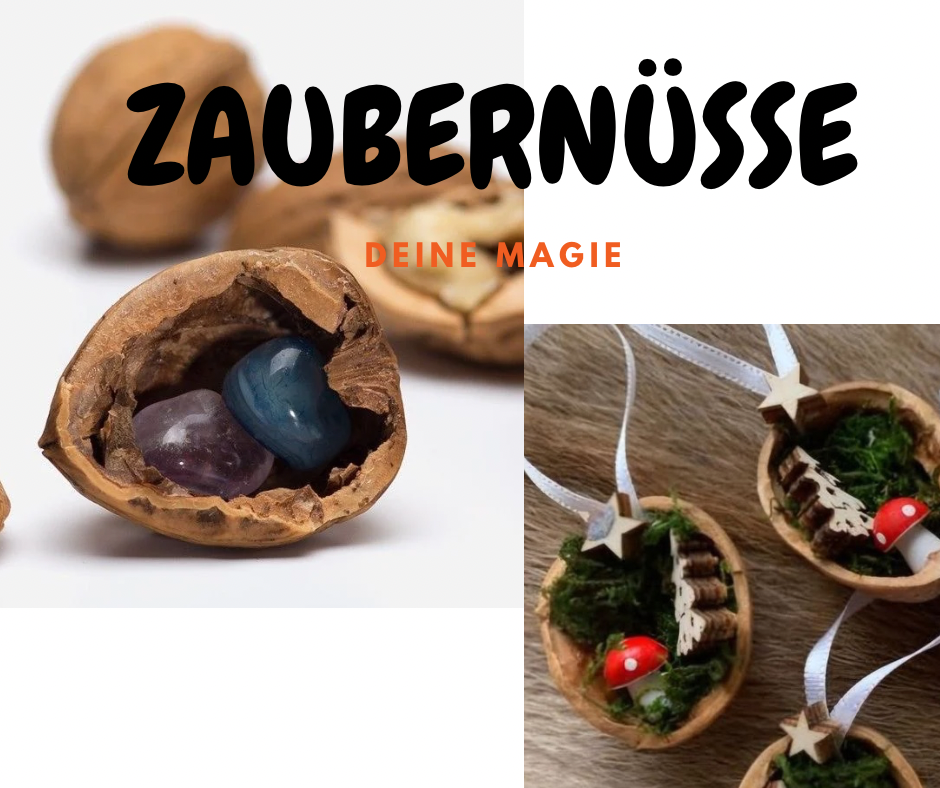 ZAUBERNÜSSE
